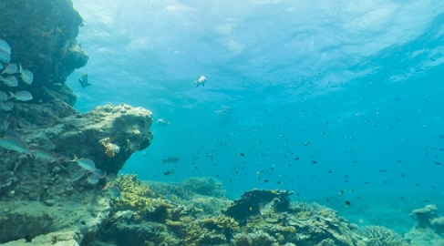 EUA anunciam criação do maior santuário marinho do planeta