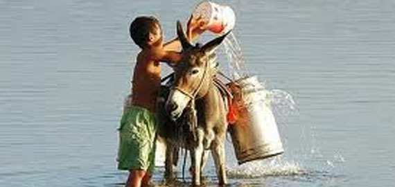 Especialistas dizem que Nordeste tem água, mas falta distribuição