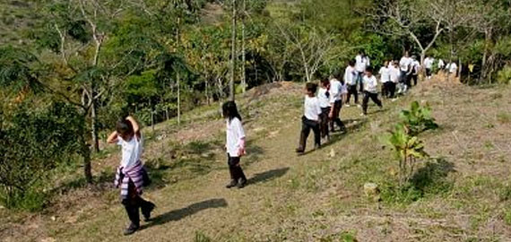 Núcleos de Educação Ambiental - Espírito Santo