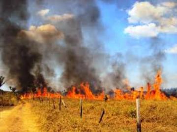 Brasil registra o menor número de focos de incêndio desde 2000