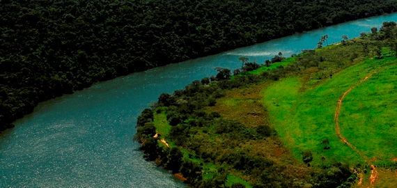 Índice aprimora monitoramento da água de rios