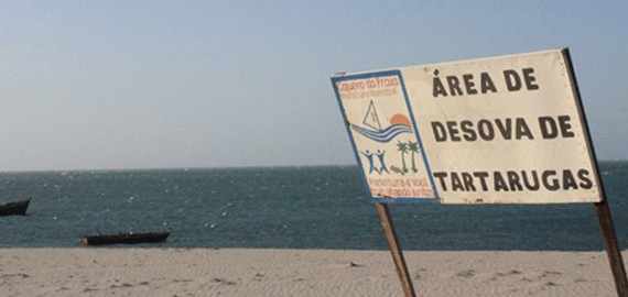 Projeto orienta população do Litoral do Piauí sobre desovas de tartarugas