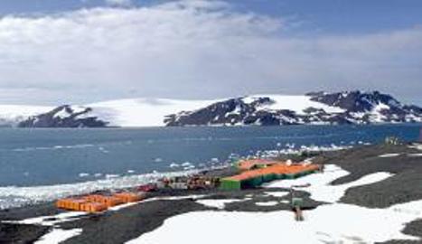 Reunião do Tratado da Antártica termina com meta de proteger a biodiversidade