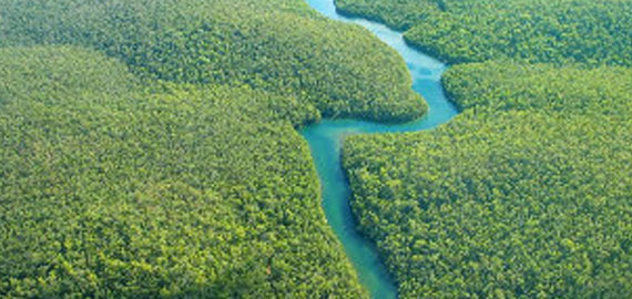 Amazônia Sem Fogo no Equador