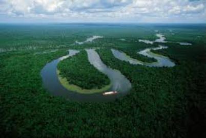 Amazônia mais verde na seca é ilusão de ótica, diz estudo