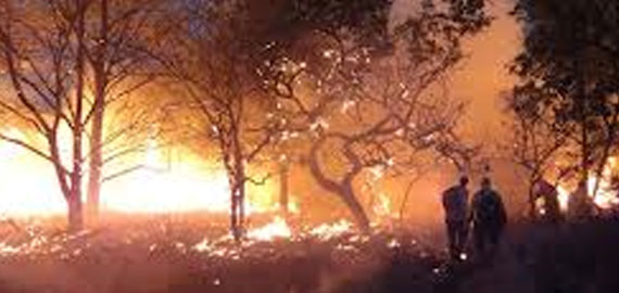 Mais de 30 brigadistas tentam apagar fogo em morro de Parque Nacional