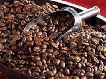 USAID tem plano contra ferrugem do café na América Central