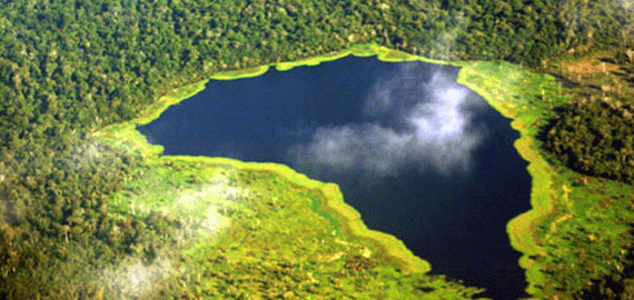 Ministério do Meio Ambiente vai mapear florestas brasileiras